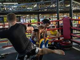 14 days muay thai experience for solo