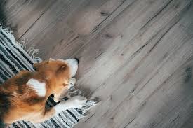 dogs prestige floors