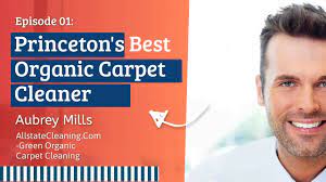 princeton s best organic carpet cleaner