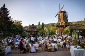 dave wedding at windmill gardens