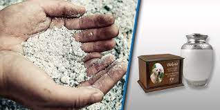can pet ashes be buried with humans