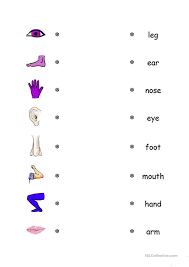 The worksheets and activities in this unit feature a lot of body parts vocabulary such as runny nose, black eye, sore throat, and broken leg. Body Parts Matching Exercise English Esl Worksheets For Distance Of The Exercises Parts Of The Body Exercises Worksheets Worksheet Preschool Review Worksheets Draw The Graph Of The Equation 8th Grade Algebra Help