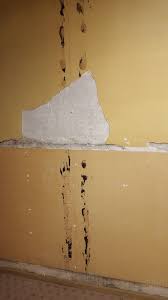 Plaster Wall Under Paneling Help