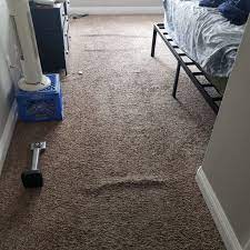 1 carpet cleaners and carpet repair
