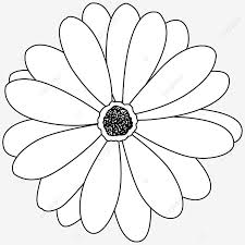white flower drawing flowers drawing