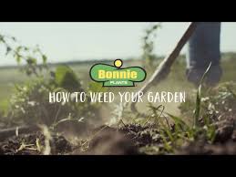 Welcome To The Garden How To Weed Your