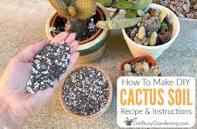 How To Make Your Own Cactus Soil Mix
