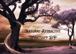 natural attractive whatsapp dp
