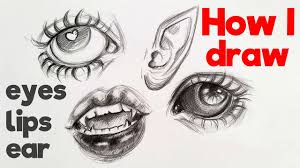 eyes lips and ear drawing step by