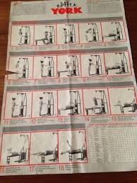 Image Result For Free York 2001 Exercises Chart Gym