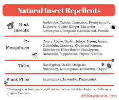 Natural Insect Repellents Dr Lisa Watson