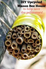 Here you will learn how easy it is to build a wild bee house. Diy Mason Bee House To Help Save Pollinators Turning The Clock Back