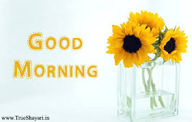Good morning images for whatsapp, free download hd wallpaper, pictures, photos of good morning good morning images for whatsapp in hindi, good morning image 2019, good morning images hd, good morning images with quotes, good morning all images, amazing good morning. Good Morning Images In Hindi English Shayari Status Wishes Quotes