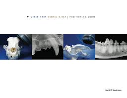 Veterinary Dental X Ray Positioning Guide Davdc Daapm