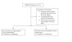 Cureus Dosing Oncology Therapeutics In Combination Therapy