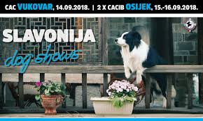 Entry Form Word Pdf Slavonija Dog Shows