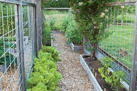 Pest Proof Vegetable Garden