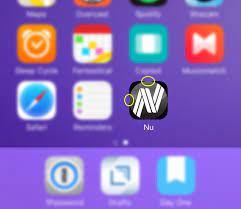 add apple touch icon to get nu logo on