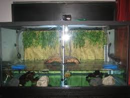 My 150 Gallon Pet Turtle Tank As First Set Up Pet Turtles And More