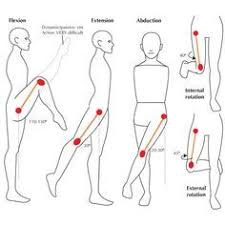 Shoulder Range Of Motion Chart Google Search Shoulder