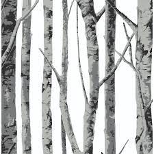 Nextwall Birch Trees Monochrome