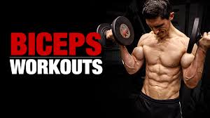 bicep workouts best exercises for