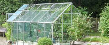Tips For Growing Food In Greenhouses
