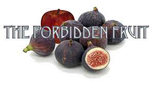 4bidden fruit