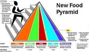 Old And New Food Pyramid Information And Pictures Disabled