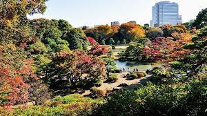 rikugien garden tokyo travel