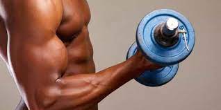 Dumbbells At Home Workout For Beginners