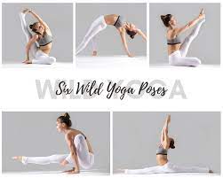 six wild yoga poses for advanced yogis