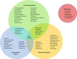 Pharmacology And The Kidney Springerlink
