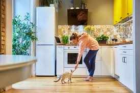 Keep in mind also that you should not store cat toys in a location near the countertop, such as a cabinet. 5 Simple Tips To Keep Cats Off Of Counters All About Cats