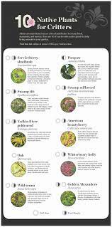 Native Plant Recommendations United