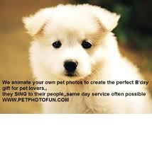 We Animate Your Own Pet Photos To Create The Perfect Bday Gift For