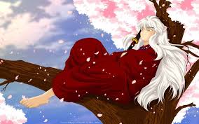 inuyasha hd background hd wallpapers