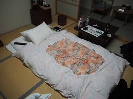 futon beds travel an