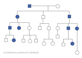 about pedigree chart