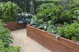 Garden Beds What To Use Weatherwise