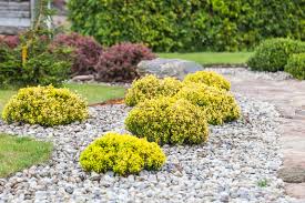How To Replace Grass With Rocks A Step