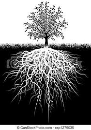 나무, 뿌리. 뿌리, 나무, 그것의, 삽화. | CanStock