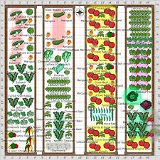 Ive Vegetable Garden Plans