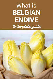 belgian endive 101 nutrition benefits