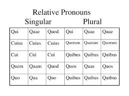 Relative Pronouns Singular Plural Ppt Download