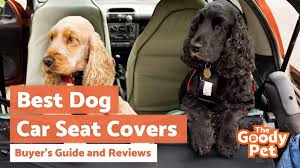 9 Best Dog Car Seat Covers June 2023