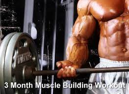 3 month muscle building workout