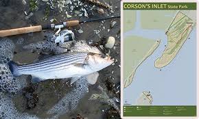 Hot Spots Corsons Inlet The Fisherman Magazine