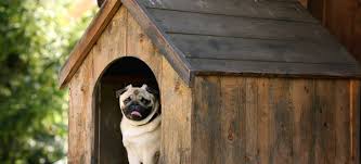 You will put less wear and tear on the machine and your back. Add A Heating Element To Your Dog House Doityourself Com