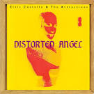 Distorted Angel